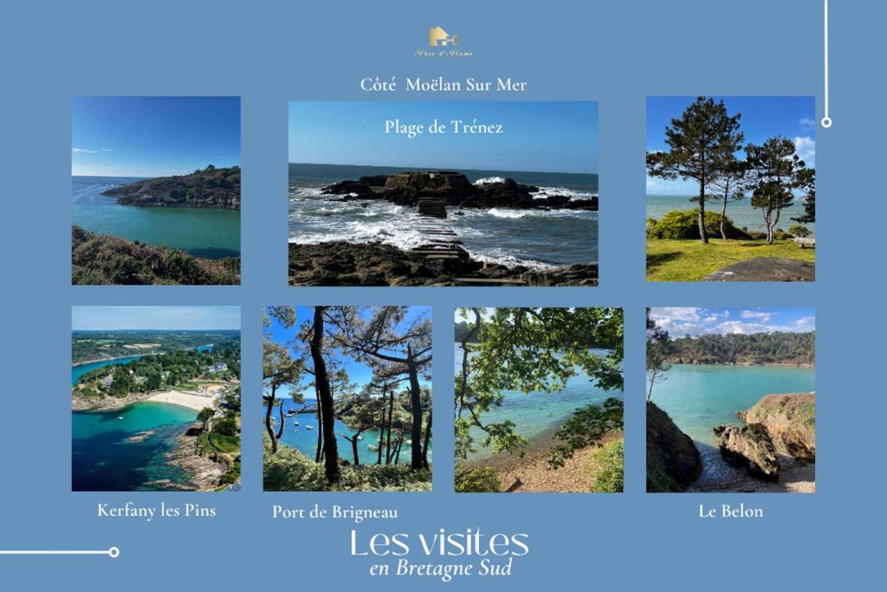 Le Tiguidou, Cosy, Lumineux, 2-6 Pers, Plage 300M Moëlan-sur-Mer Zewnętrze zdjęcie