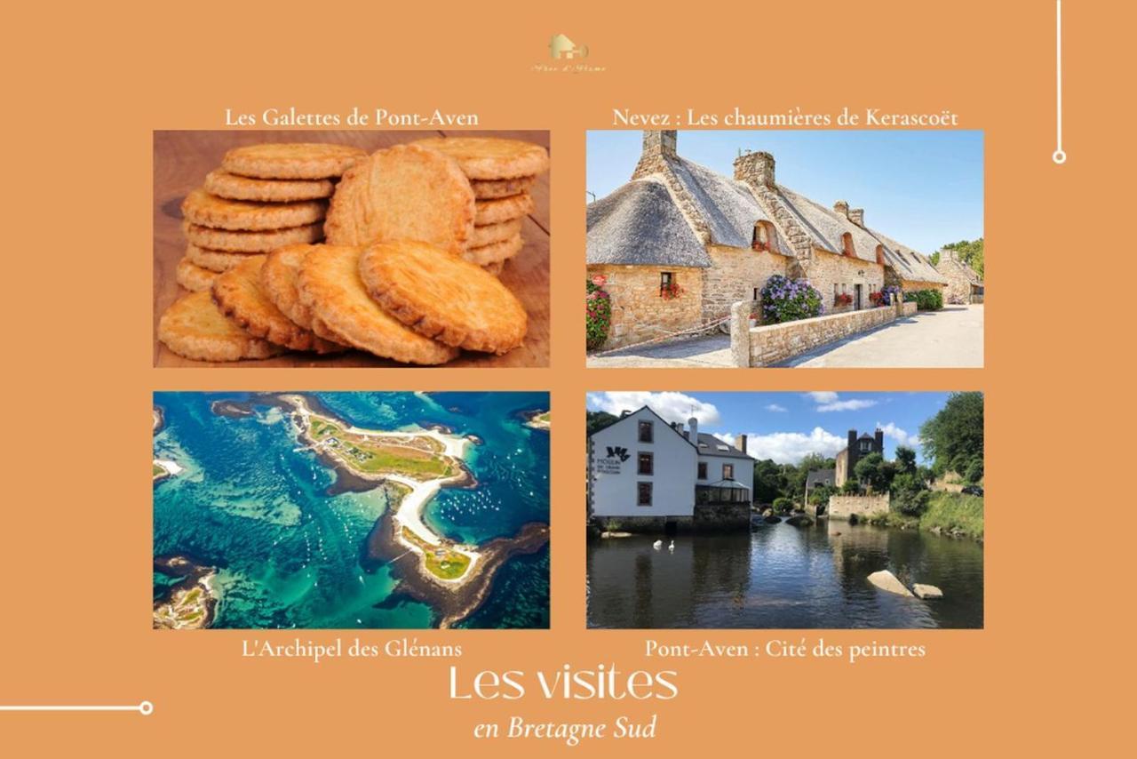 Le Tiguidou, Cosy, Lumineux, 2-6 Pers, Plage 300M Moëlan-sur-Mer Zewnętrze zdjęcie